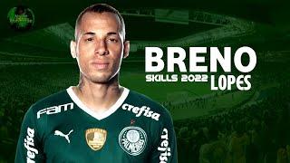 Breno Lopes ● Skills 2022 ► Golls, Dribles, Assistências ► Full Season Show ● ᴴᴰ