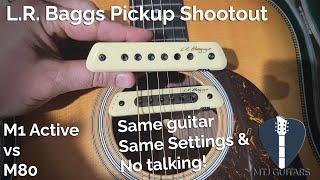 LR Baggs Pickup Shootout: M1 Active vs M80