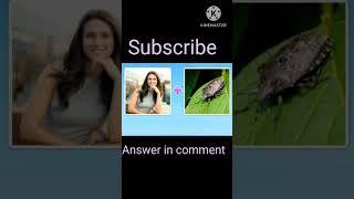 Easy puzzle #add 1 subscriber #trending #viral #shortsviral #shortvideos #youtubeshorts