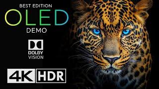  Unbelievable Colorful Animal World | OLED Demo HDR 4K Ultra HD Dolby Vision™ 120fps