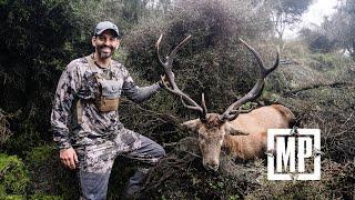 New Zealand Stag Hunt | Mark V. Peterson