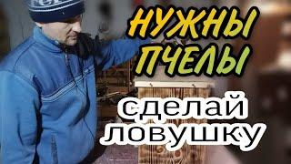 Непростая ловушка на пчел