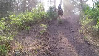 Horseriding at Diamond Hitch Stables in Pagosa Springs, CO