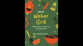 Best Weber Grill Of 2022