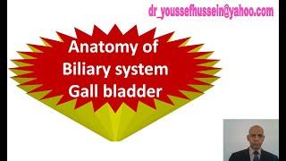 Biliary system | Gall bladder | Heisten's valve | Hartmann's pouch | Stones | Common bile duct