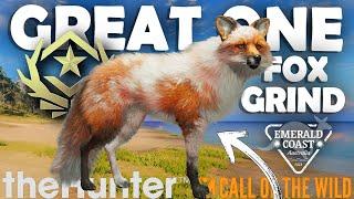 SHOCKING START to the EMERALD COAST FOX GRIND!!!  - Call of the Wild