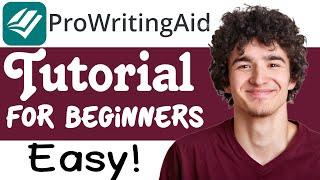 ProWritingAid Tutorial For Beginners (Step-By-Step)