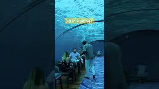 inside the worlds largest underwater restaurant! 