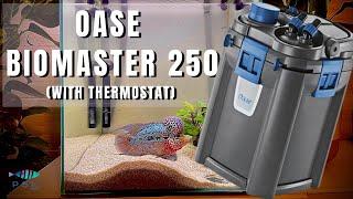 UNBOXING AND ASSEMBLING THE FILTER OASE BIOMASTER 250 FOR RAINBOW'S TANK (with thermostat)