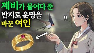 제비가 물어다 준 반지로 운명을 바꾼 여인
