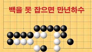 바둑 묘수 사활 - 백을 못 잡으면 만년하수 입니다.