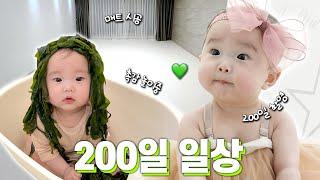 축 째유탄신 200일 하