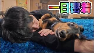 足が短すぎる犬に1日密着してみた【一生犬命】