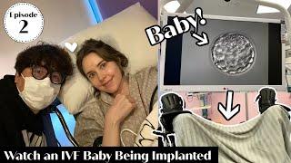 IVF Egg Retrieval & Embryo Transfer | Our Fertility Journey Episode 2