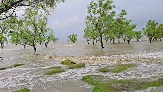 Rainy Day in a Green Sea Beach and Village Rain in Bangladesh