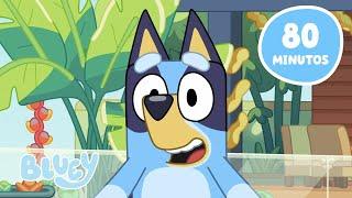 AO VIVO: Melhores Momentos e Destaques dos Episódios de Bluey!   | Bluey