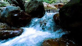 Serene River Ambience | ASMR Water Sounds for Mindful Relaxation