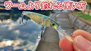 【冬の琵琶湖バス釣り】ワームより釣れるシャッド（スーパースレッジ）の使い方がわかりました！