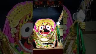 Jay Jagannath Swami. #thetariniprasad