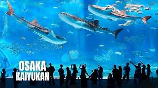 Osaka Aquarium Kaiyukan Walking Tour (2023) (4K HDR)