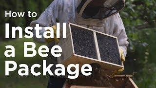 How to Install a Bee Package
