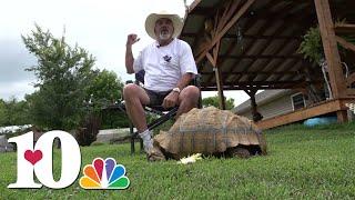 Community works together to find missing tortoise