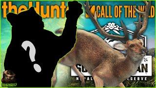 Hunting A Big Diamond & A Rare Tiger In Sundarpatan! Call of the wild