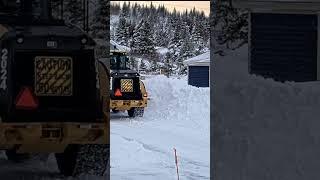 City loader plowing #snow #snowplow #loader