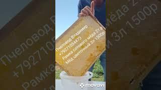 Мёд цветочный 3л 1500р , рамка сотового мёда 2т.р +79271054473