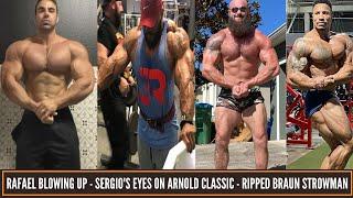 Rafael gains 11 lbs in a week-Braun Strowman getting ripped-Sergio`s eyes on Arnold Classic 2021