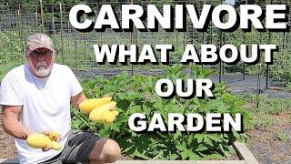 Becoming A Carnivore: Is Our Garden In Trouble?