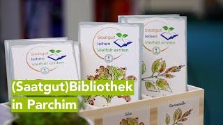 „Saatgut leihen, Vielfalt ernten“ – Nachhaltigkeit beginnt in der Bibliothek