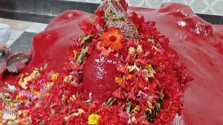 Fullora Devi Sathipith Darshan New March 2024 | Vlog Detels By Shubham Bhakat | Labhpur Birbhum