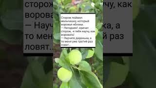 #дети#приколы