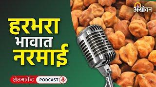 Cotton, Soybean Market: तूर बाजार, लसूण दर, कापूस बाजारभाव, सोयाबीन भाव | Agrowon