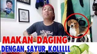 Makan daging anjing dengan sayur KOL versi Gitar hahahahaa