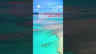 일본환상의 해변 #유리가하마 해변 #요로니섬 #요론 #오키나와 #일본 #여행