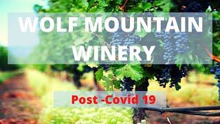 Wolf Mountain || Dahlonega, GA  || Wine Tour & Review || Top 3 (Part 1)