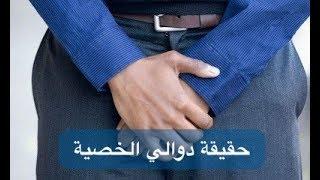 أمراض ذكورة - حقيقة علاج دوالي الخصية