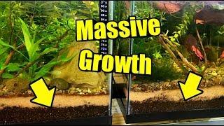 The PERFECT Soil For Aquarium Plants and Planted Tanks