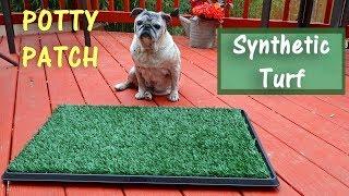 Pet Potty PatchDog Training Pad⭐|Artificial Turf Mat 