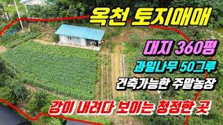 506 [옥천전원주택 토지매매] 대지 360평인 토지로 계획관리지역이고 종류별 과일나무들이 많이 심어져 있는 신축가능 토지로 컨테이너도 있고 텃밭으로 사용하셔도 좋은 청청 매물임