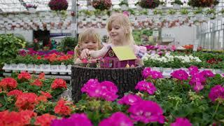 Canoyer Garden Center: Commercial/ Image