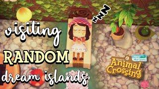 Let's Explore Random Dream Islands Together! Dream Suite Island Tours (Animal Crossing New Horizons)