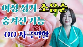 소음순의 숨겨진 유용한 기능