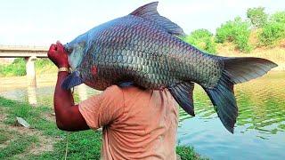 King Saiz 20Kg Big Monster Catching | Amazing Fishing video | Singh Shikaar Fishing