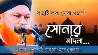 সোনার মদিনা আমার প্রানের মদিনা সব ভুলিবো কিন্তু তোমায় ভুলতে পারিনা,,,