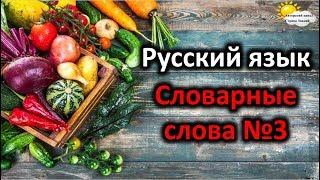 Русский язык. Словарные слова №3