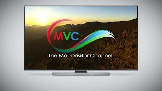 Set Your Business Apart with The Maui Visitor Channel