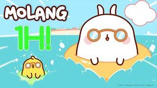 Molang - ️A Sommer ohne Ende! | Mehr ⬇️ ⬇️ ⬇️